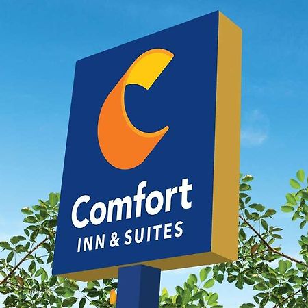 Comfort Inn & Suites Newark Liberty International Airport エクステリア 写真