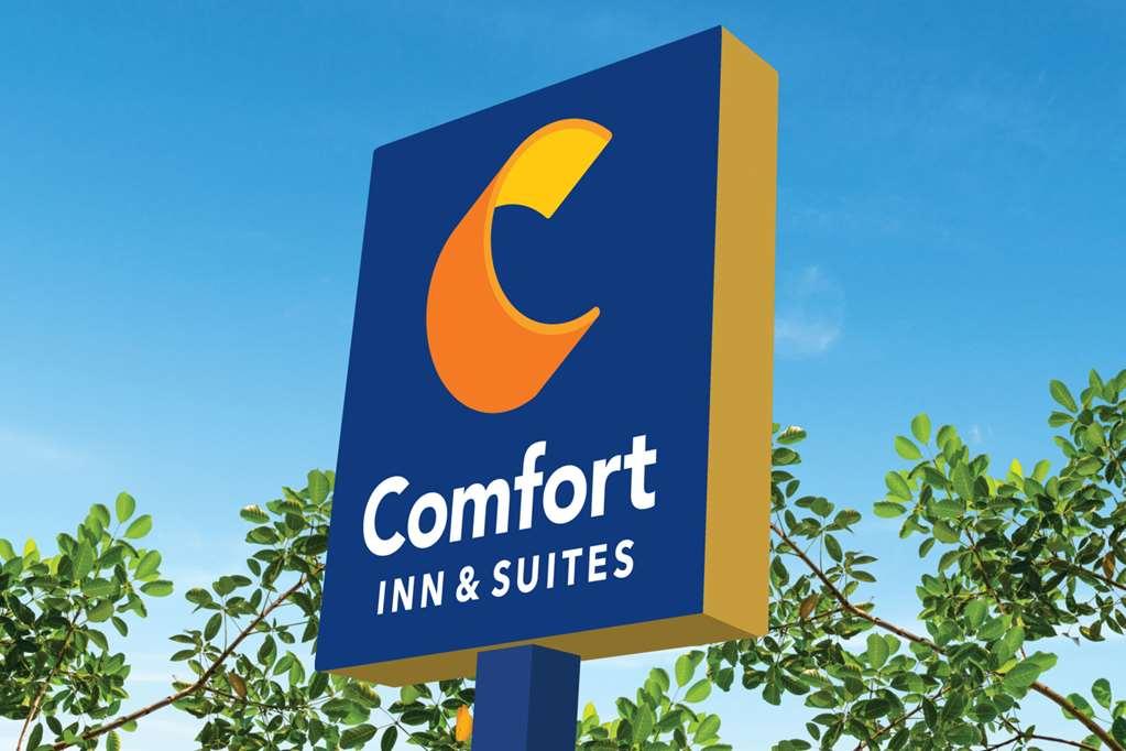 Comfort Inn & Suites Newark Liberty International Airport エクステリア 写真